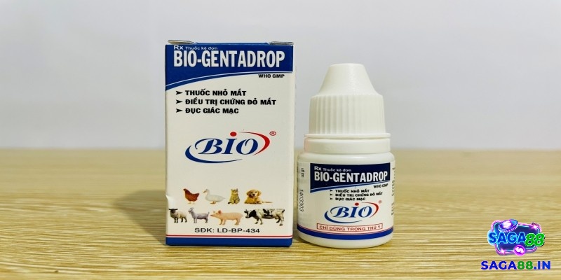 Dùng thuốc thuốc nhỏ mắt bio-gentadrop để trị gà mù mắt do va chạm cành cây