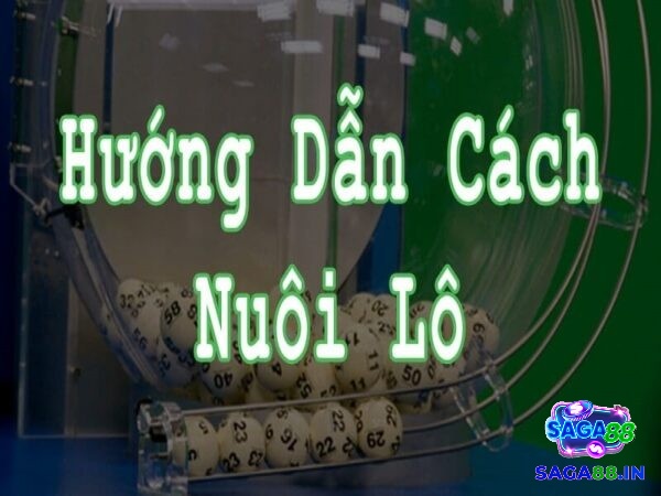 Phương pháp nuôi lô hiệu quả đem về tiền thưởng cực khủng