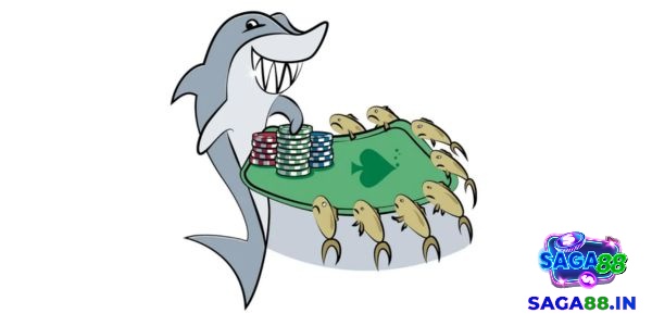 Một biểu hiện khác của fish trong Poker thường là sự tự tin thái quá