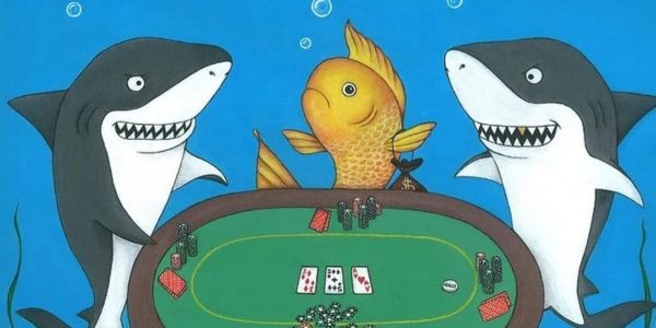 Fish trong Poker là gì? 5 cách nhận biết người chơi kém