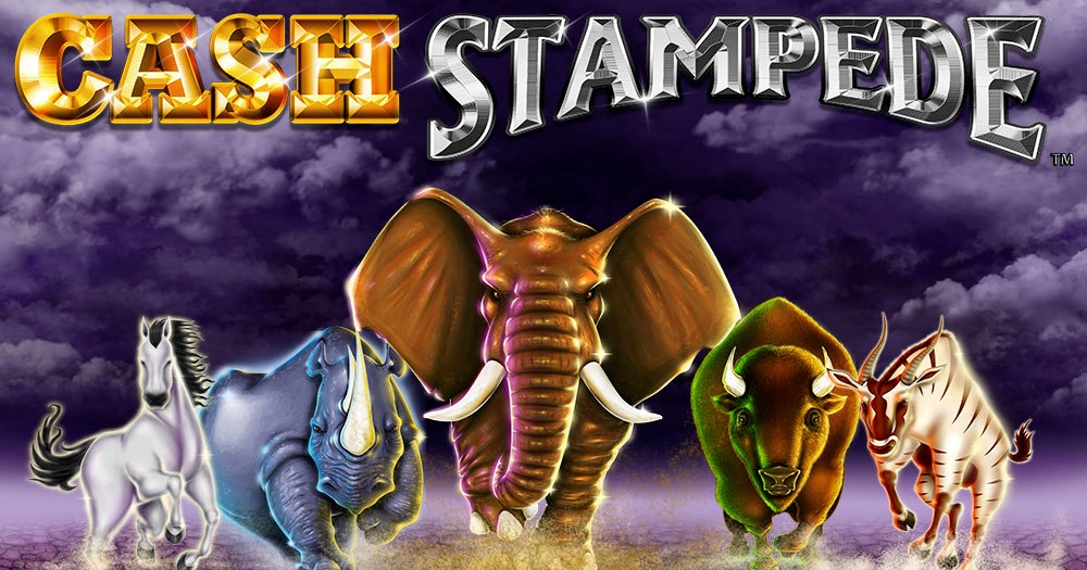 Cash Stampede: Slot có chủ đề động vật hấp dẫn nhất