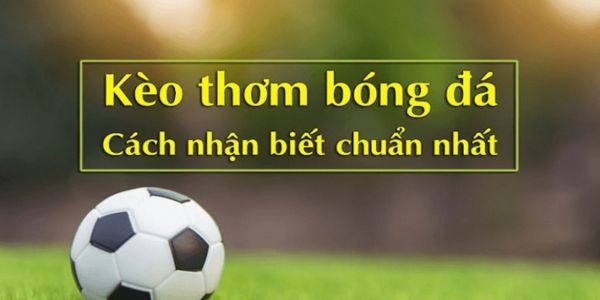 Kèo 2 1/2 là gì? Cách chơi và đọc kèo chuẩn nhất từ chuyên gia