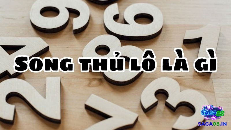 Tìm hiểu thông tin về khái niệm song thủ lô là gì?