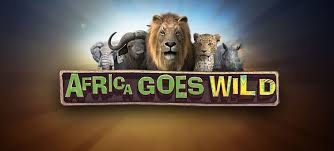 Africa Goes Wild - Game slot đặc sắc, trải nghiệm thú vị