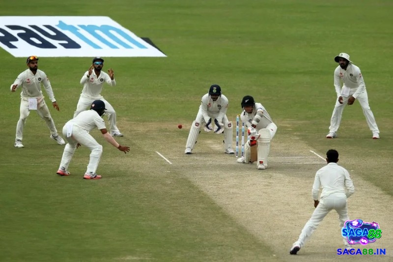 Cách chơi Test Cricket vô cùng dễ dàng